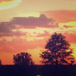 Meet your Posher, Clarissa